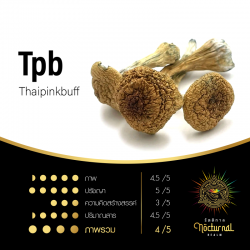 Tpb ( Thaipinkbuff )