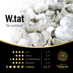 W.tat  ( Tat wombat )