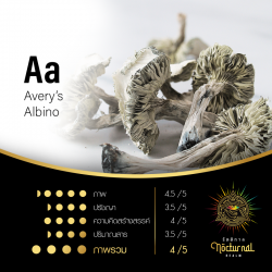 Aa ( Avery’s Albino)