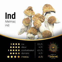 Ind ( Melmac ind )