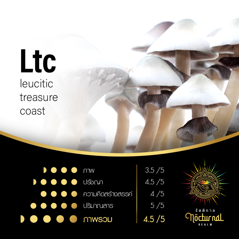 Ltc ( leucitic treasure coast )
